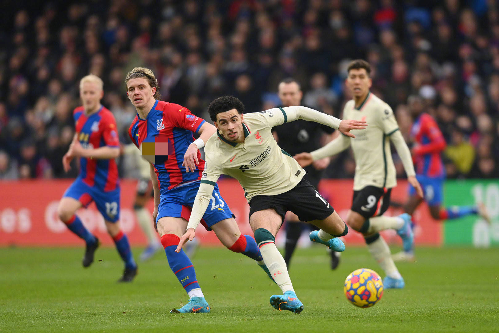 而瓦科和谢 而瓦科和谢